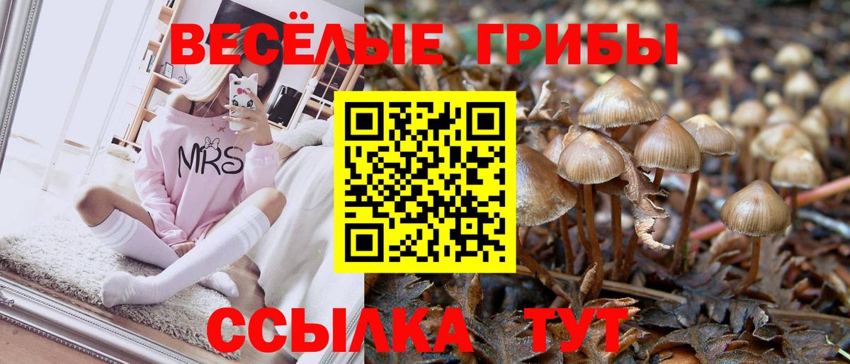 Псилоцибиновые грибы прущие грибы  Вход с VPN  Отрадное 